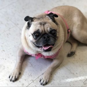 Meet your Posher, Renee